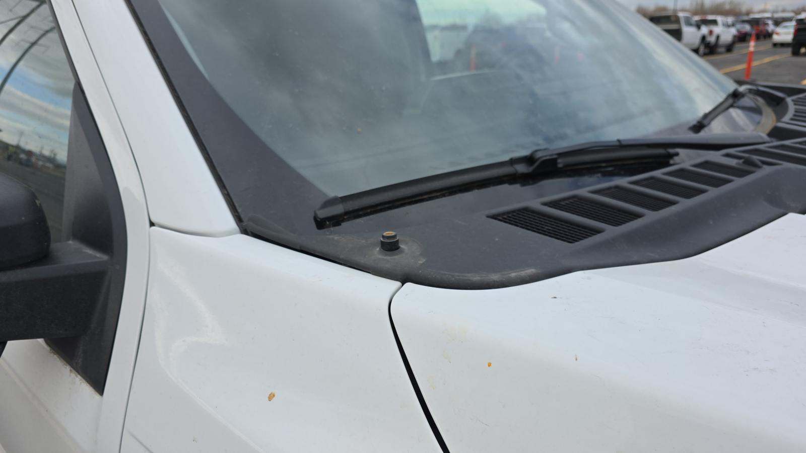 2024 Ford F-150 XLT AWD