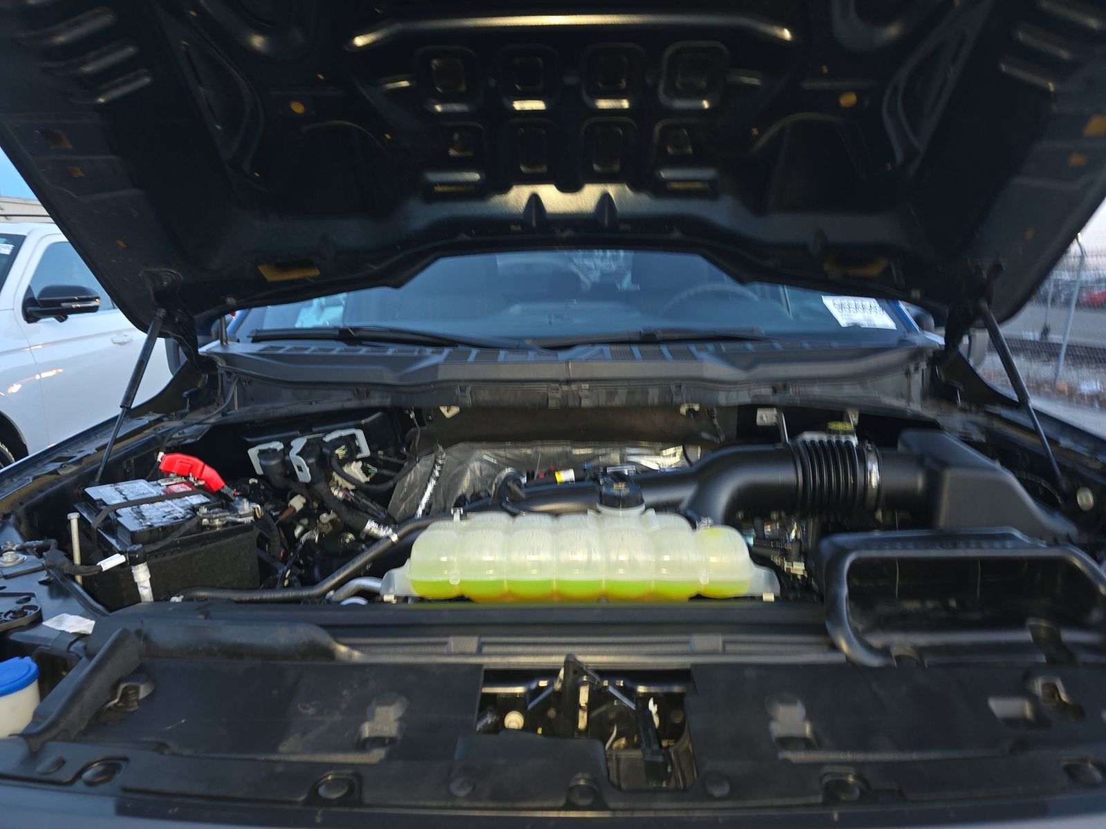 2024 Ford F-150 STX RWD