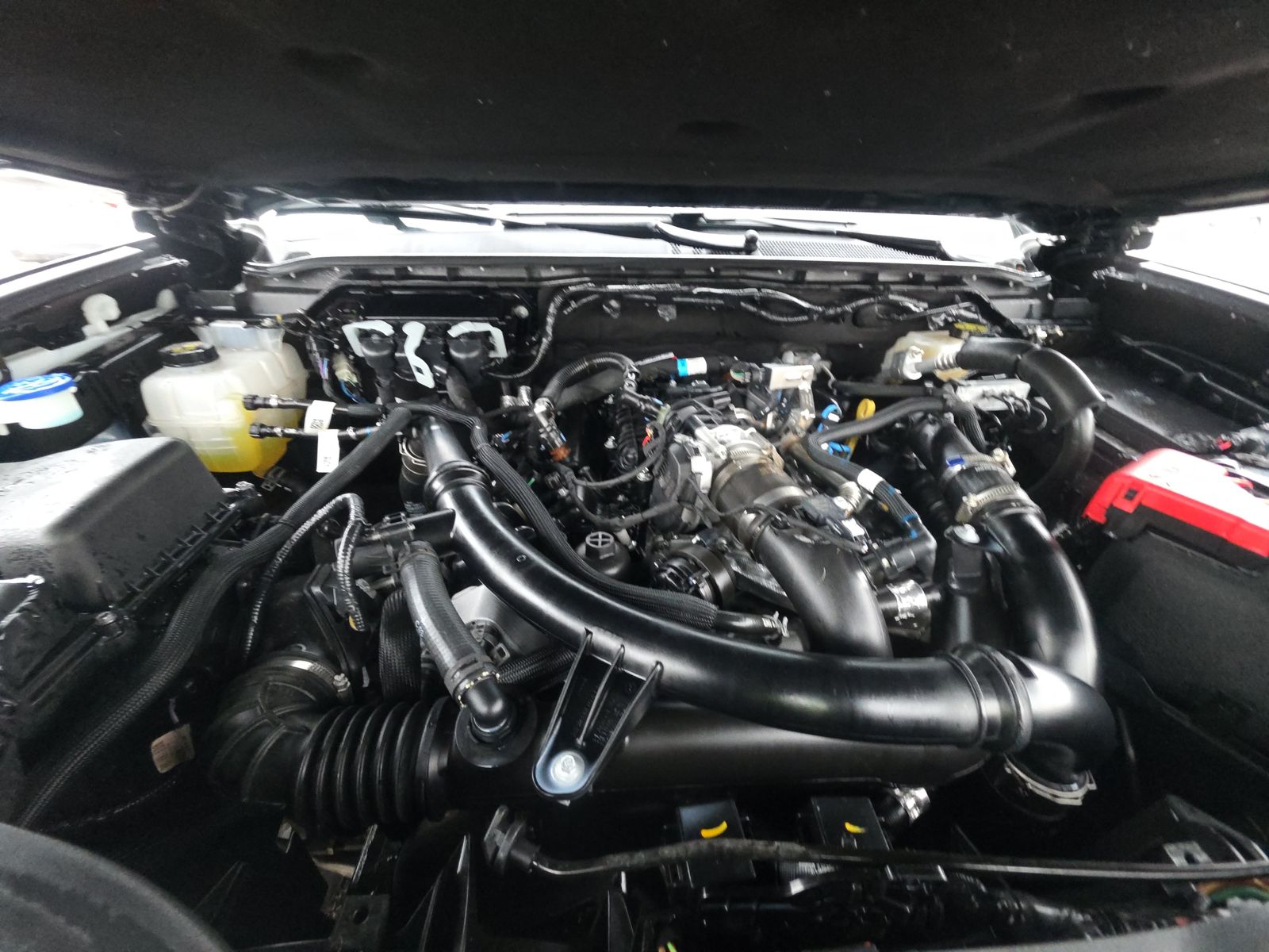 2025 Ford Ranger XLT AWD