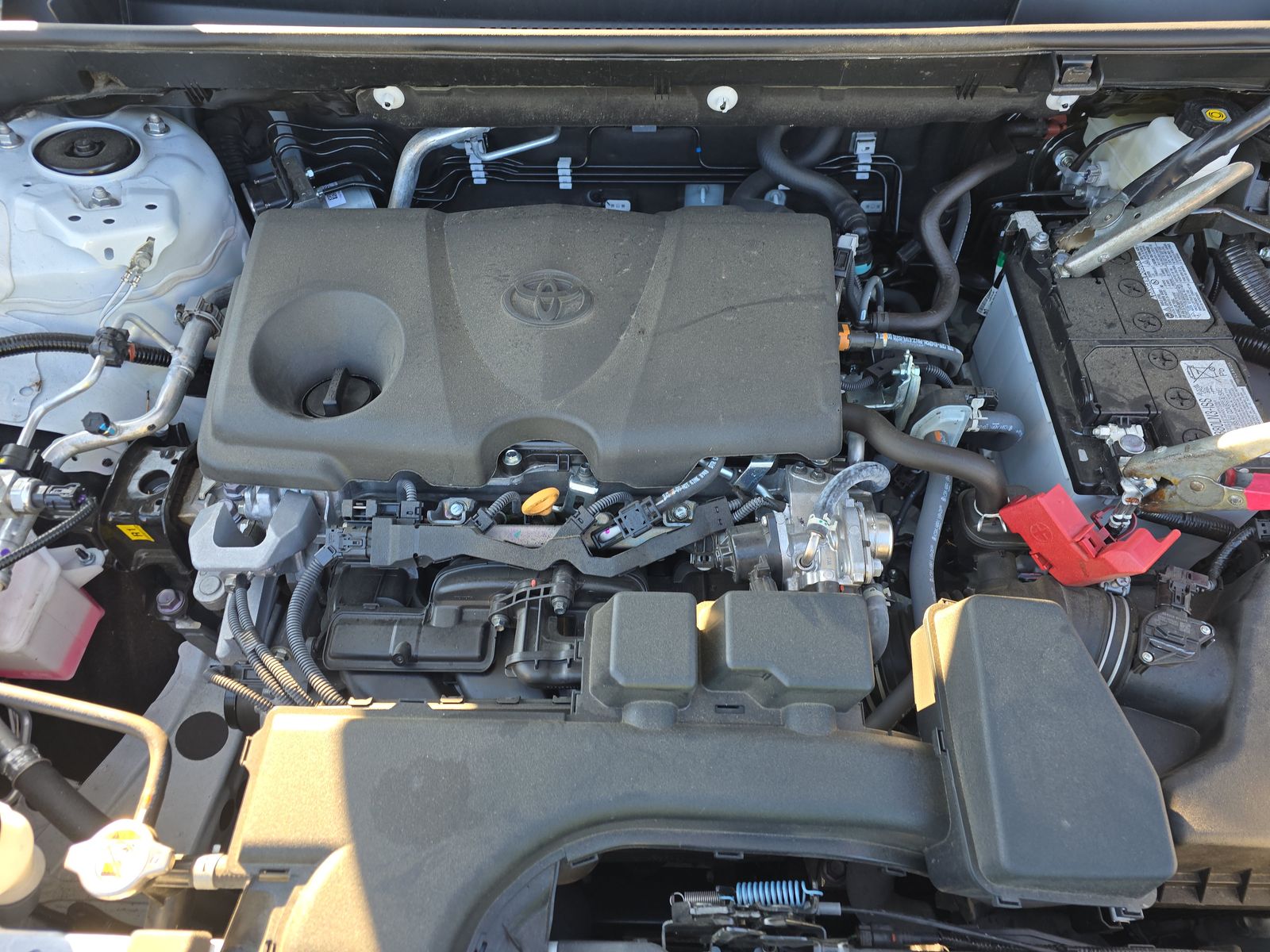 2025 Toyota RAV4 LE AWD