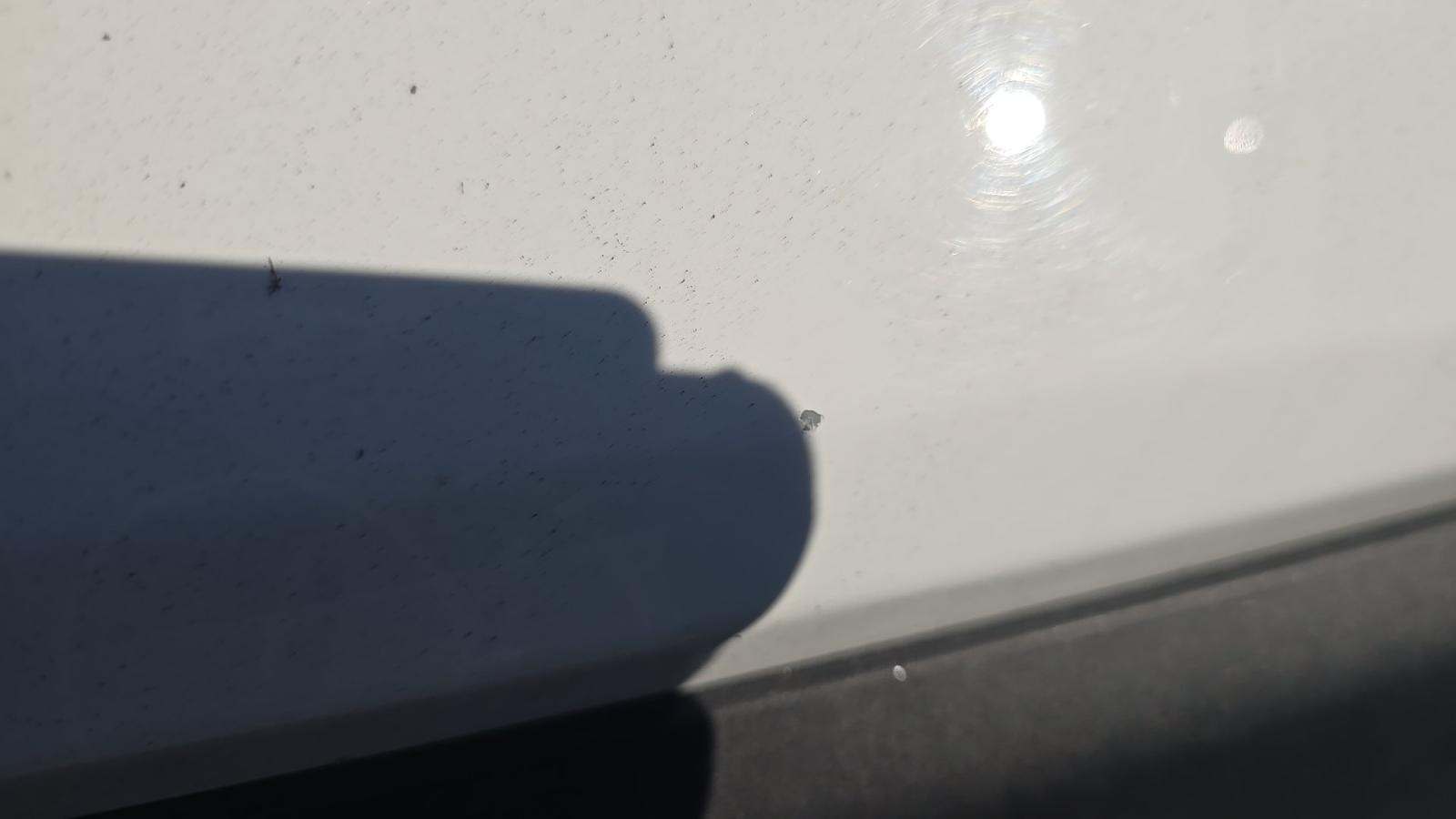 2025 Toyota RAV4 LE AWD