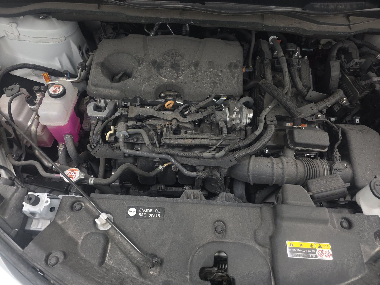 2025 Toyota Sienna XLE FWD