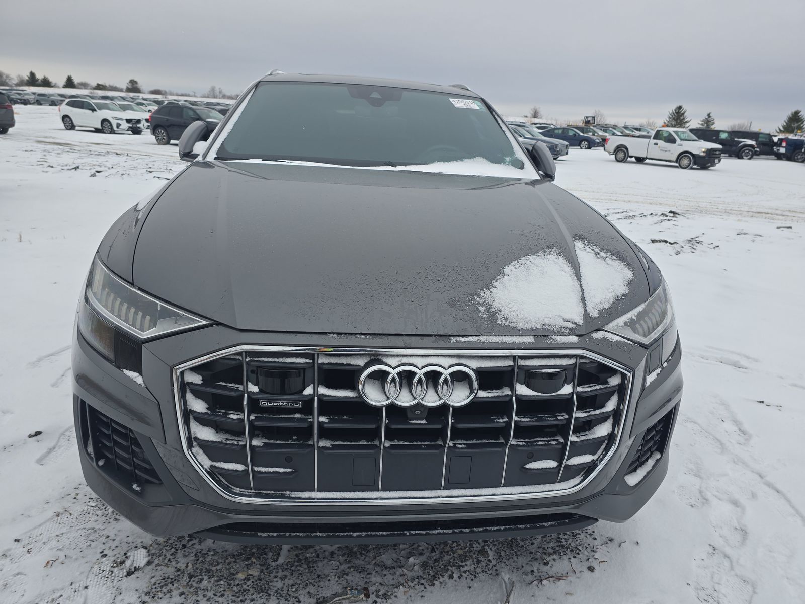 2019 Audi Q8 Prestige AWD