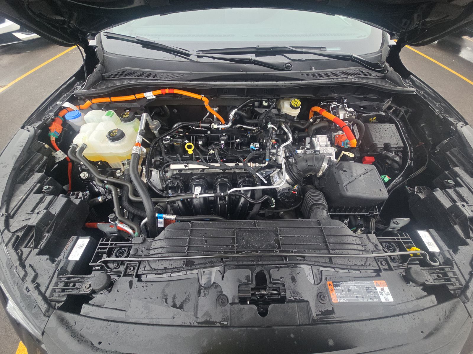 2025 Ford Escape Hybrid ST-Line Elite AWD