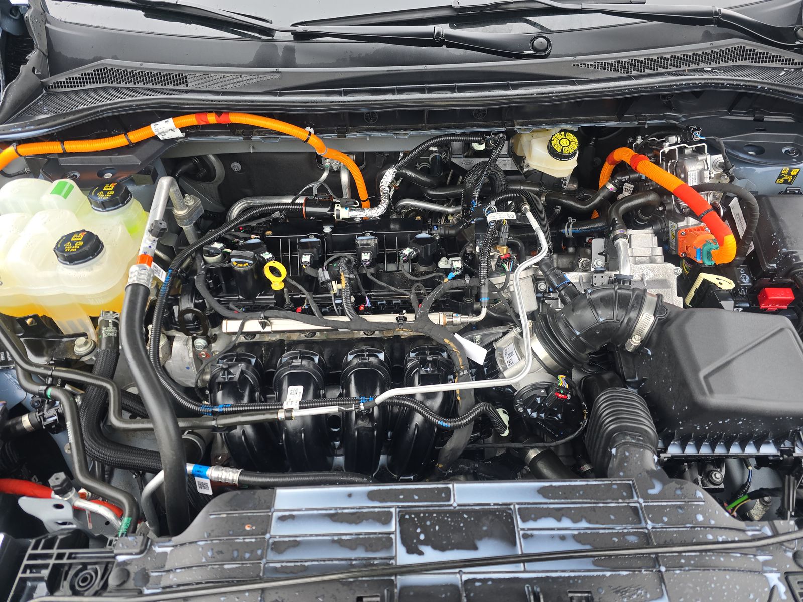 2025 Ford Escape Hybrid ST-Line Elite AWD