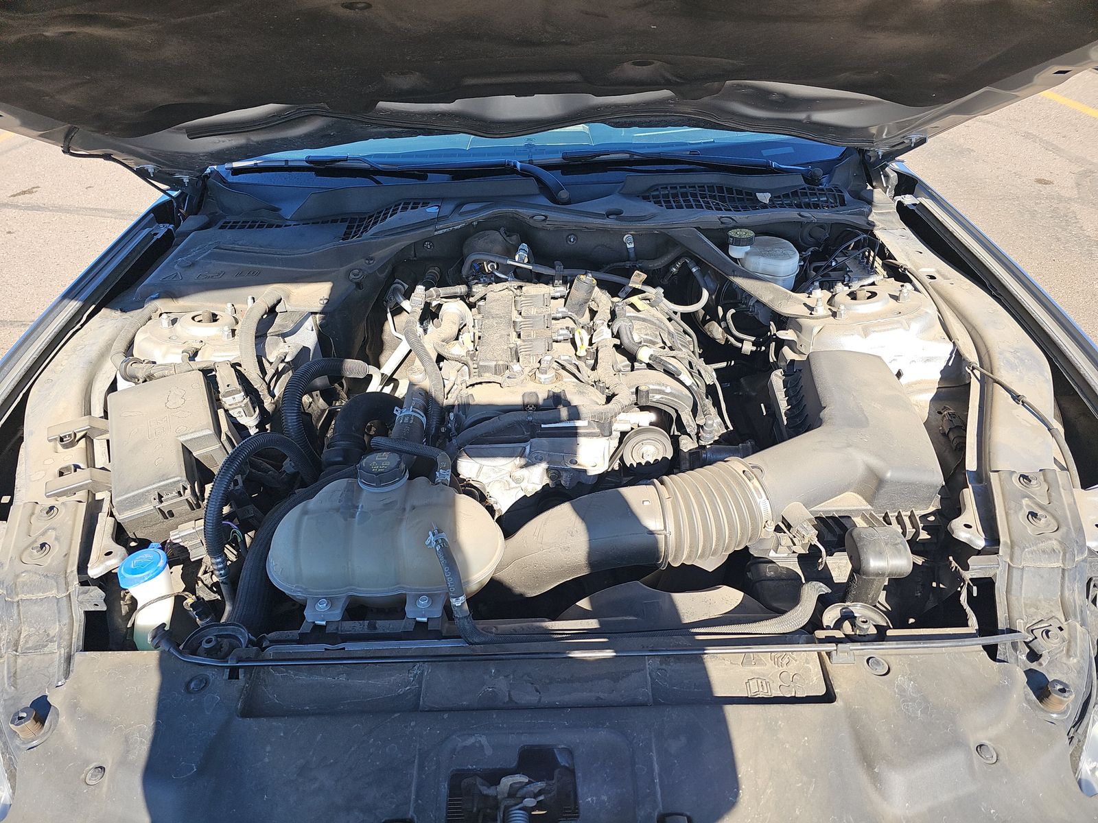 2023 Ford Mustang EcoBoost Premium RWD