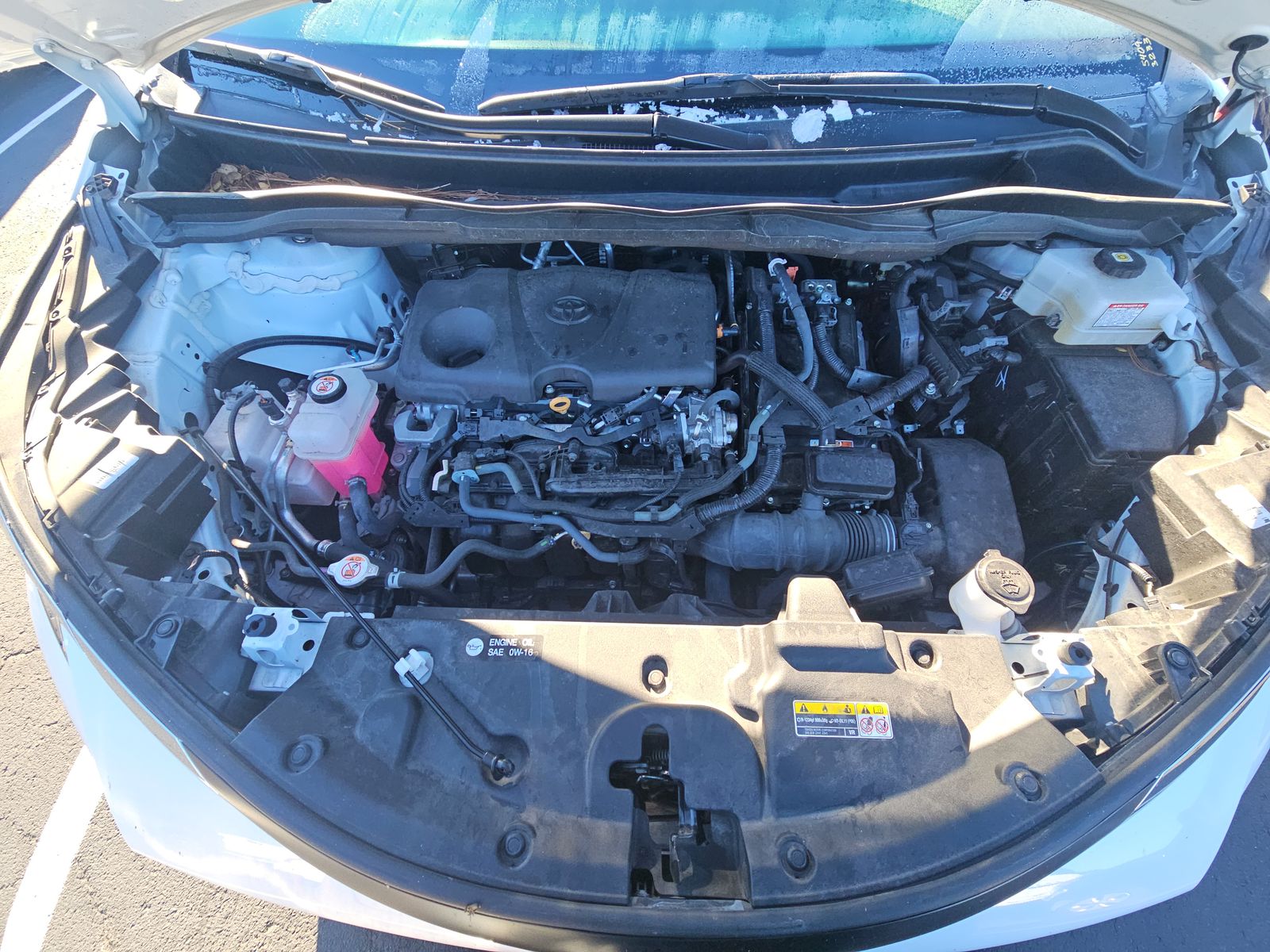 2024 Toyota Sienna LE FWD