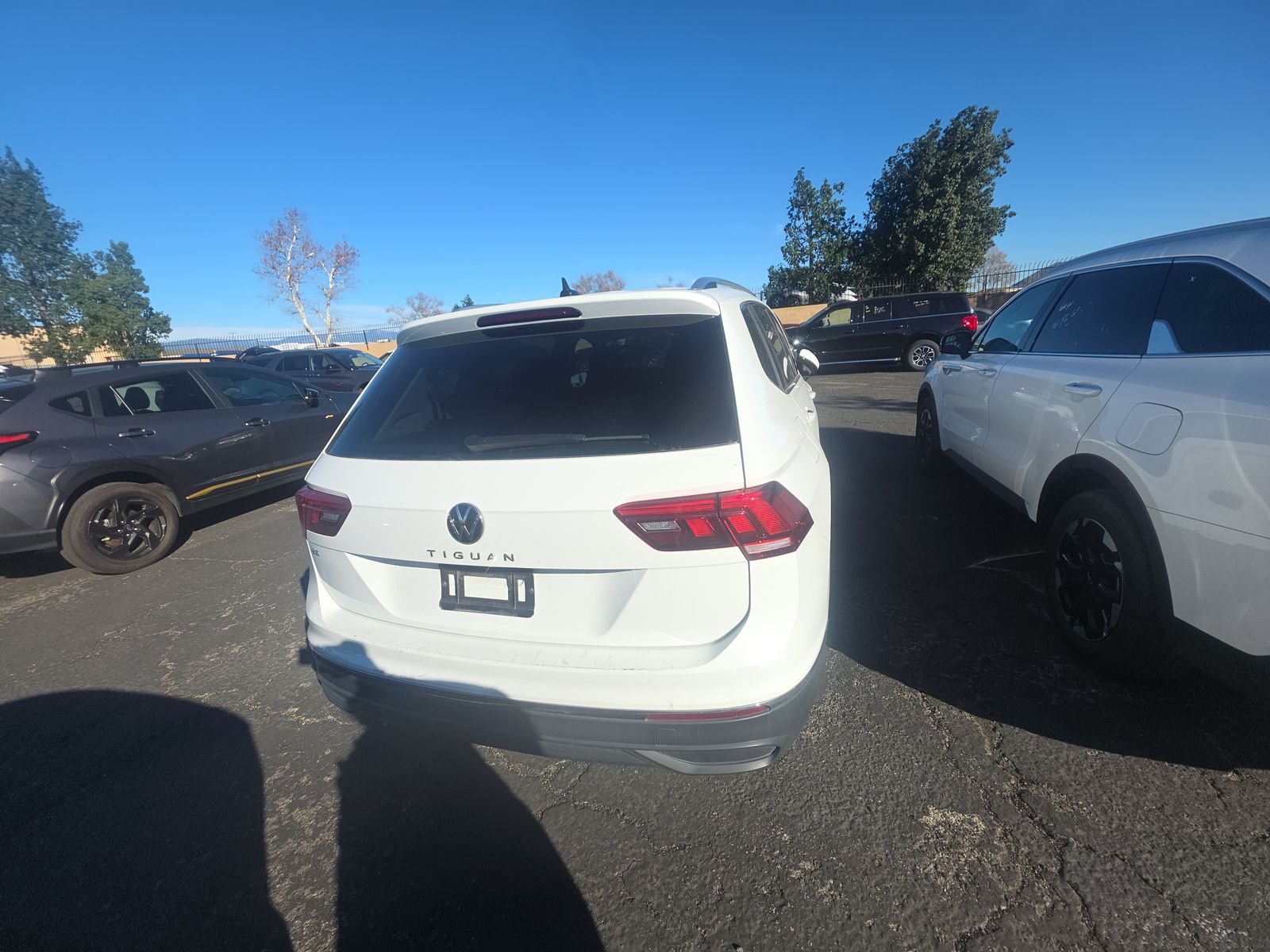 2024 Volkswagen Tiguan 2.0T SE FWD