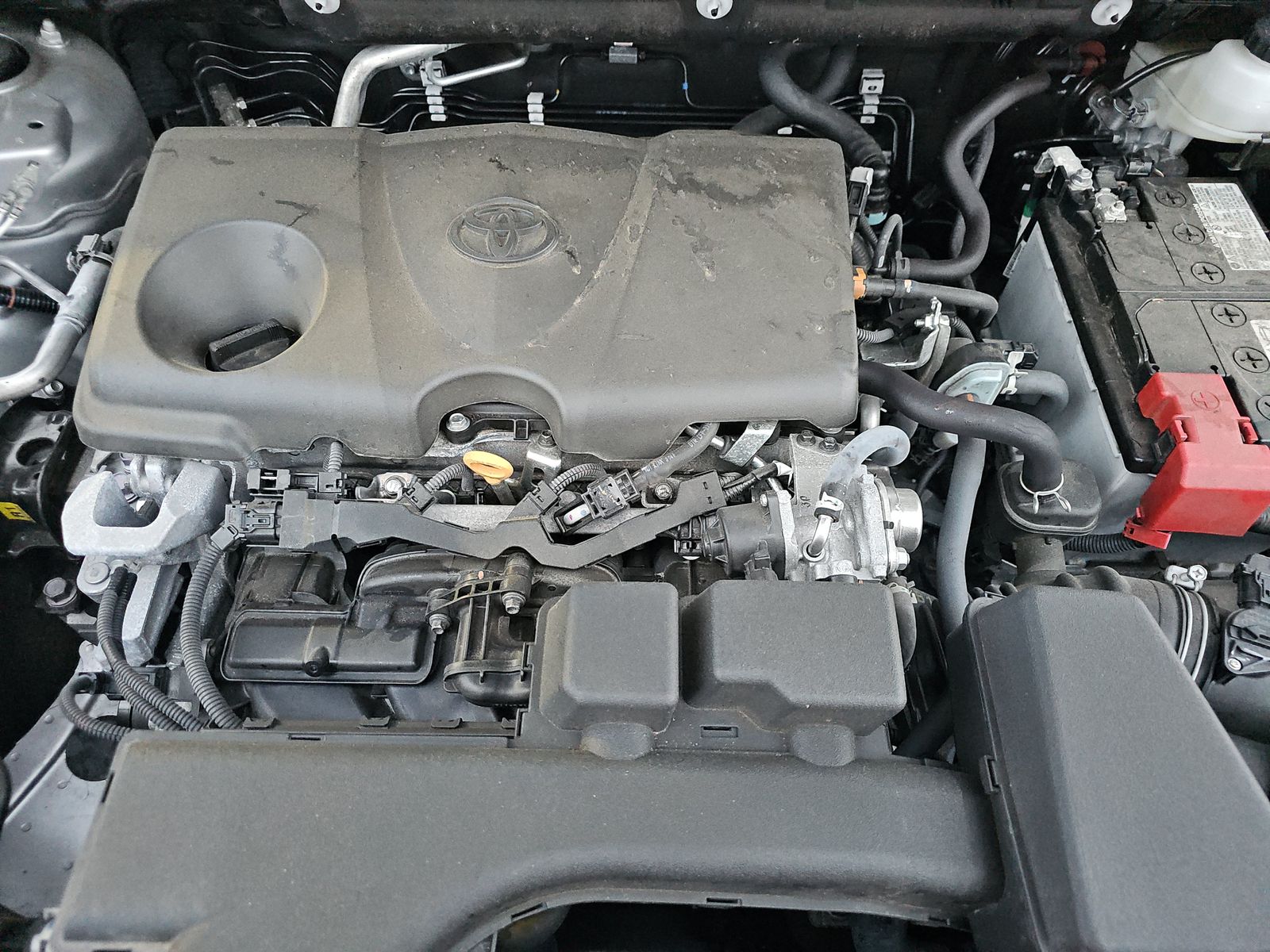 2024 Toyota RAV4 LE AWD