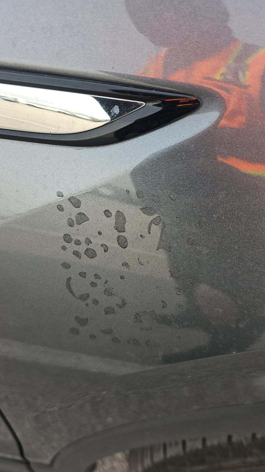 2024 Volkswagen Tiguan 2.0T SE FWD