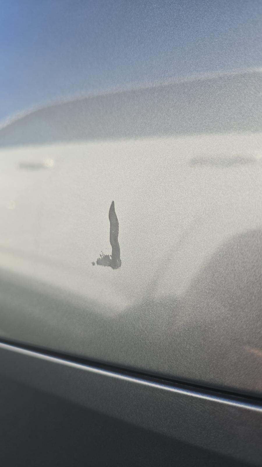 2025 BMW 4 Series 430i xDrive AWD