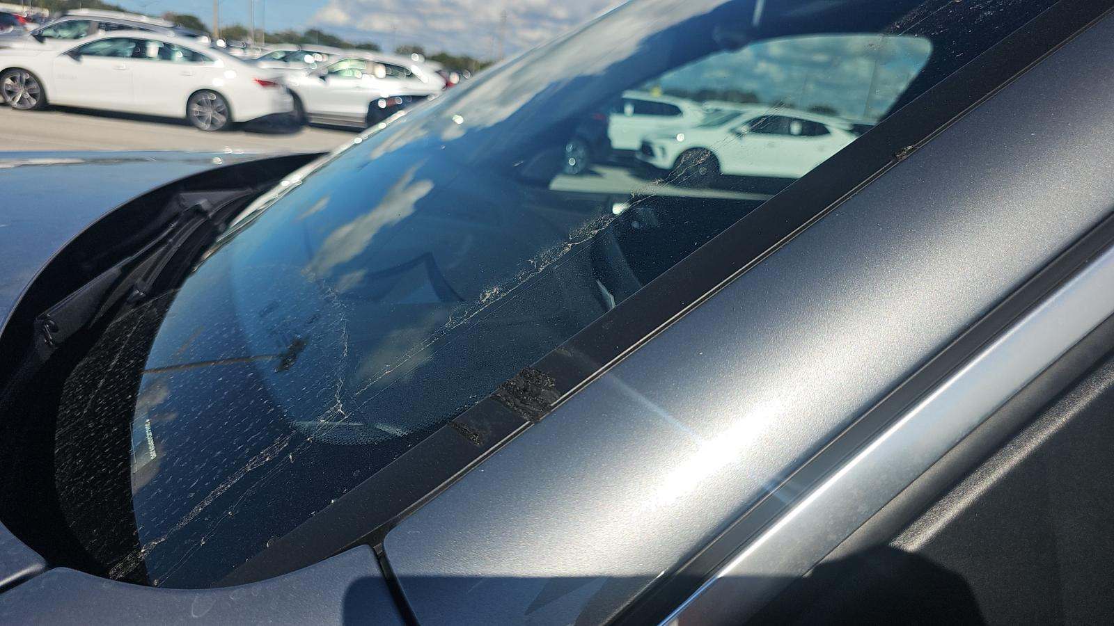 2024 BMW X5 xDrive40i AWD