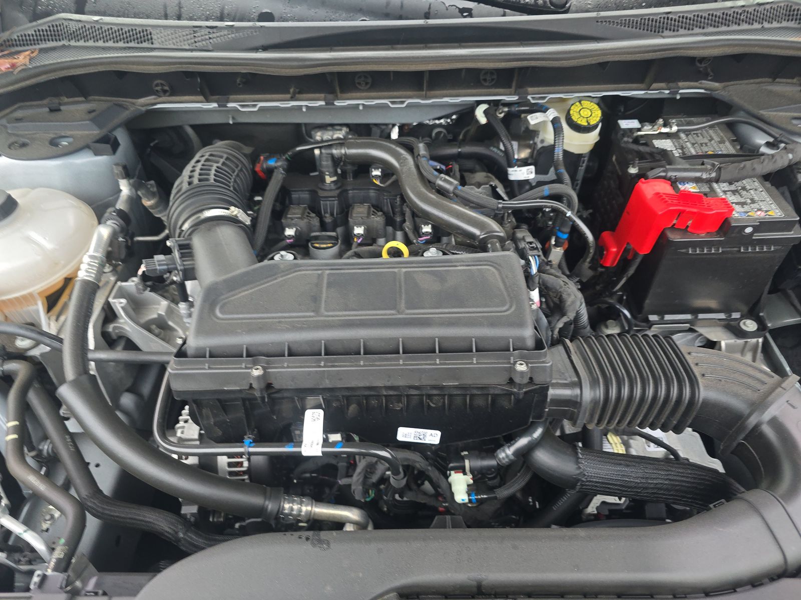 2025 Ford Escape ST-Line FWD