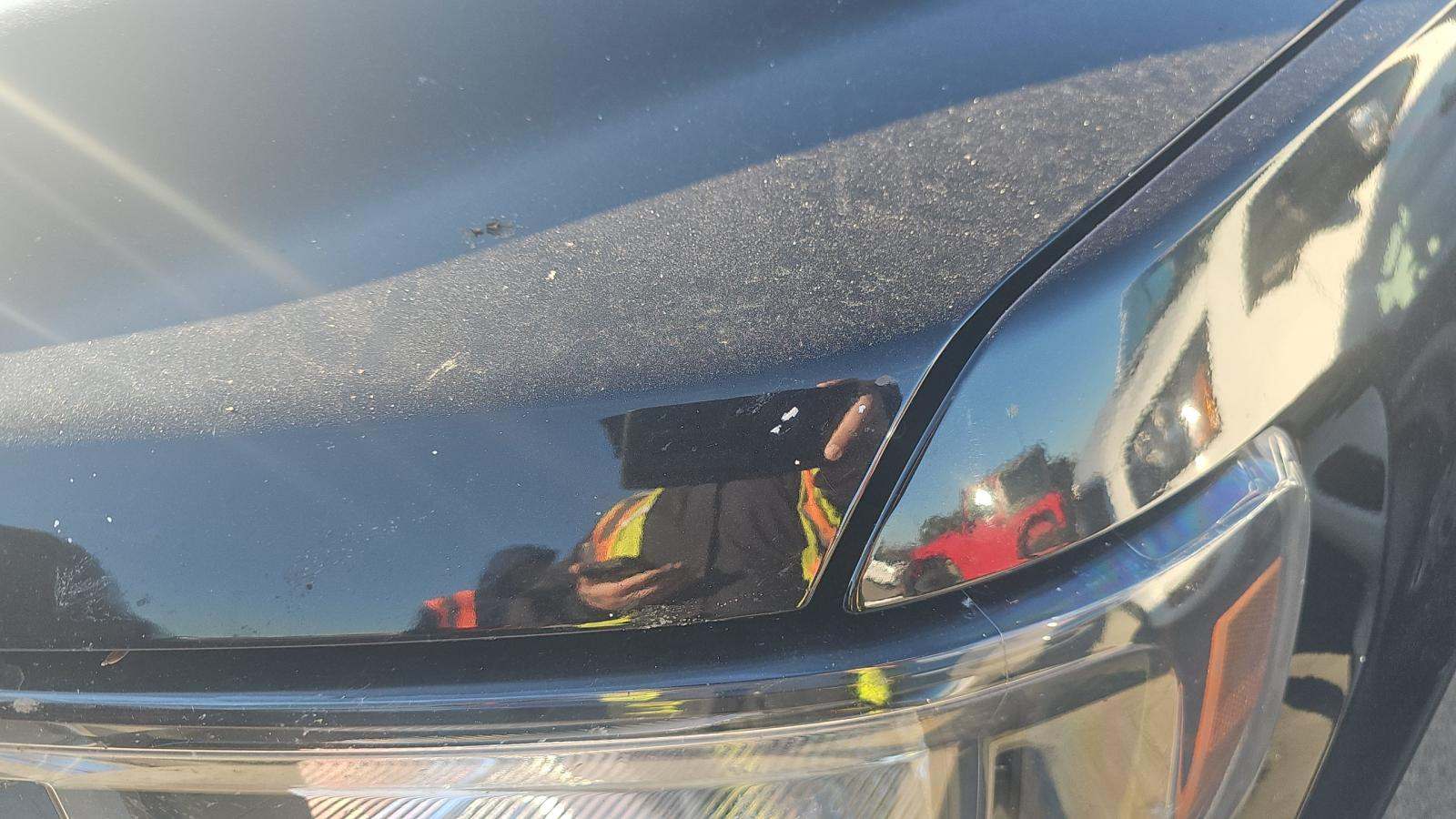 2023 Ford F-150 XLT RWD