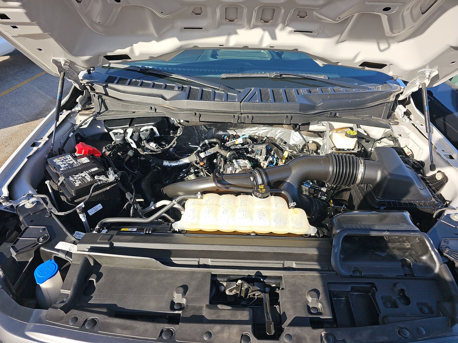 2024 Ford F-150 STX RWD