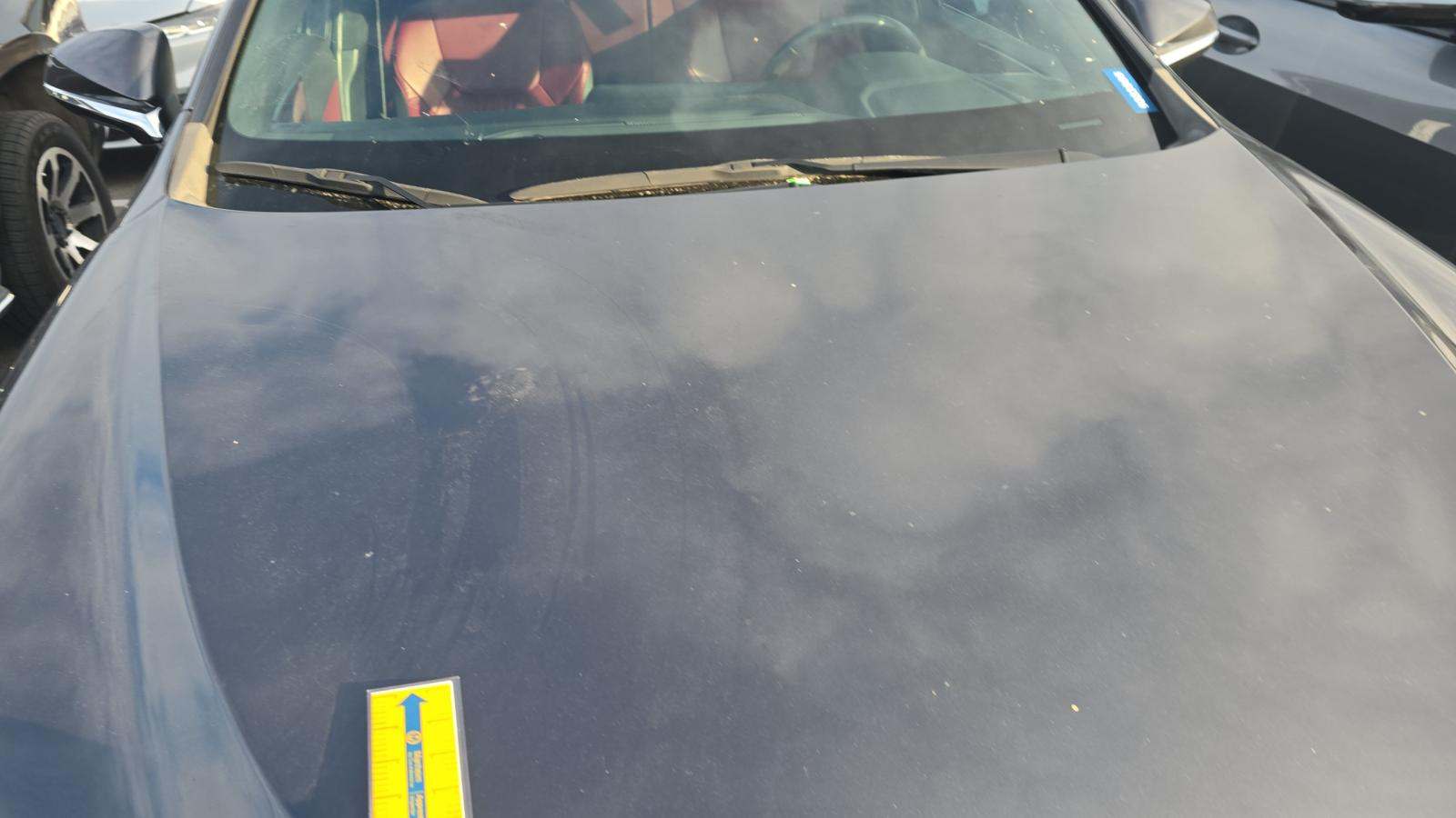 2024 Lexus NX NX 250 FWD