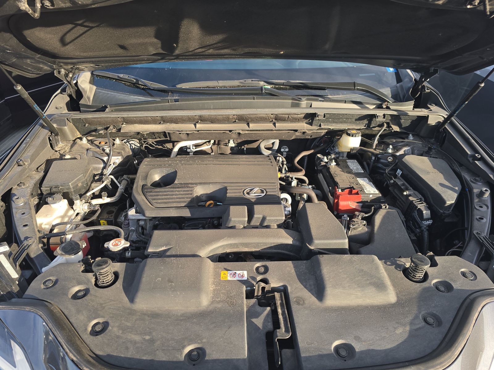 2024 Lexus NX NX 250 FWD