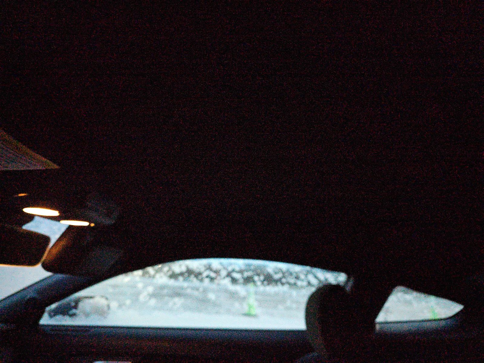 2021 Ford Mustang EcoBoost RWD