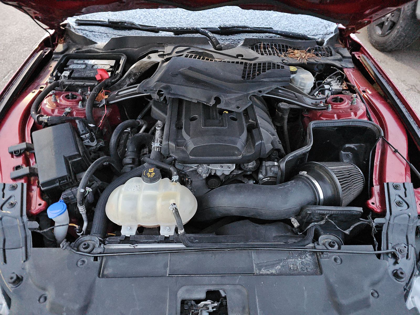 2021 Ford Mustang EcoBoost RWD