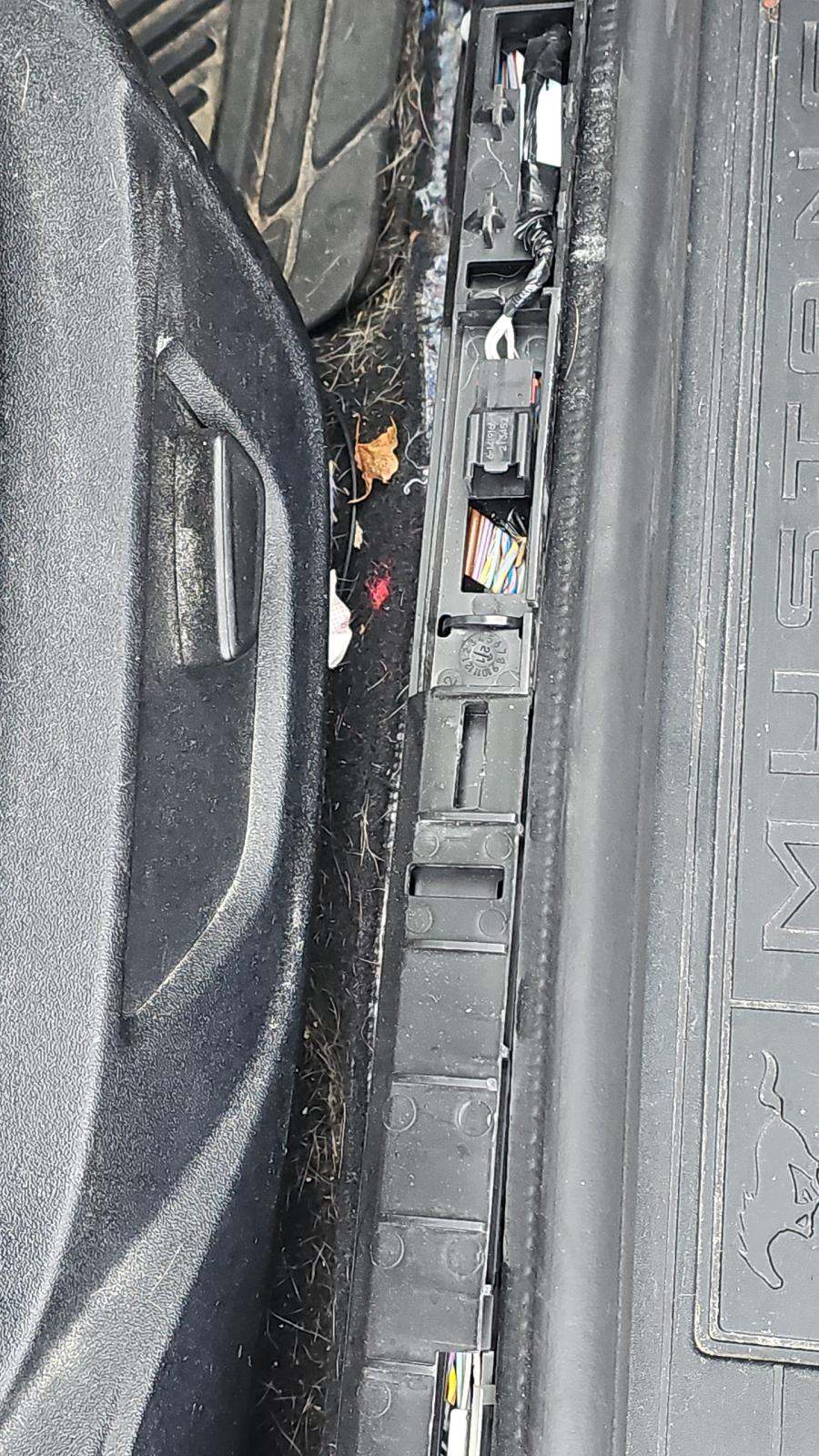 2021 Ford Mustang EcoBoost RWD