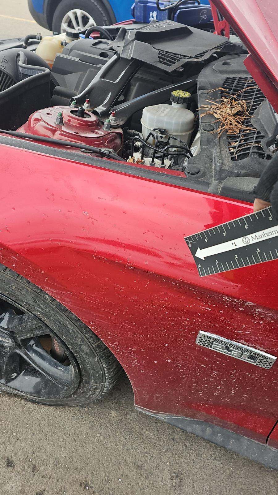 2021 Ford Mustang EcoBoost RWD