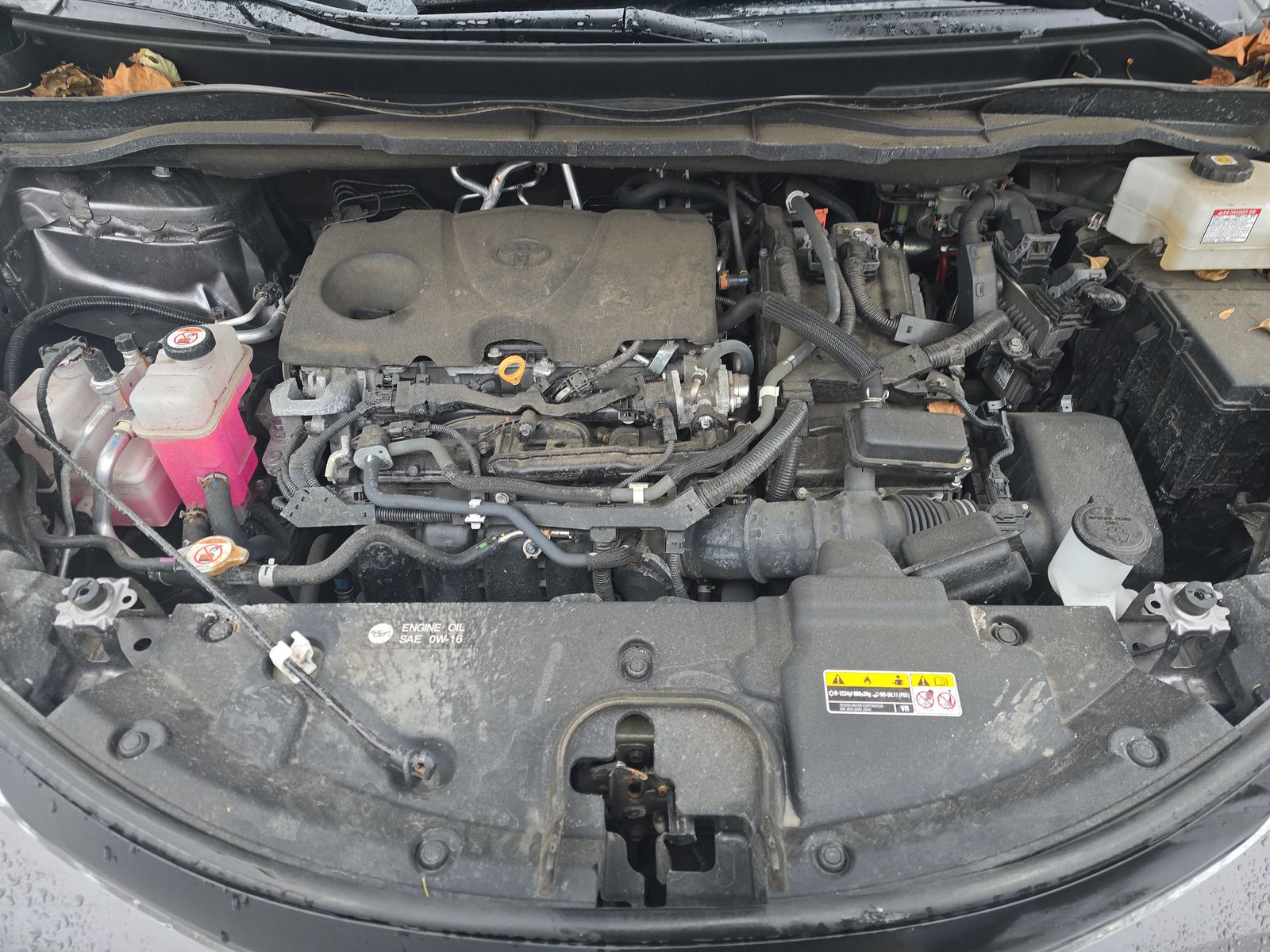 2022 Toyota Sienna XLE FWD