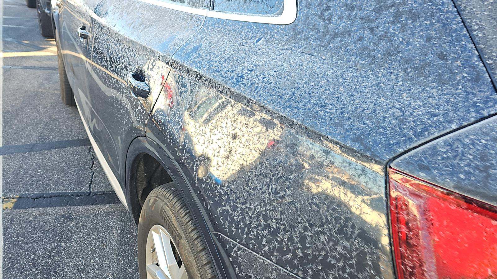 2020 Audi Q5 Premium AWD