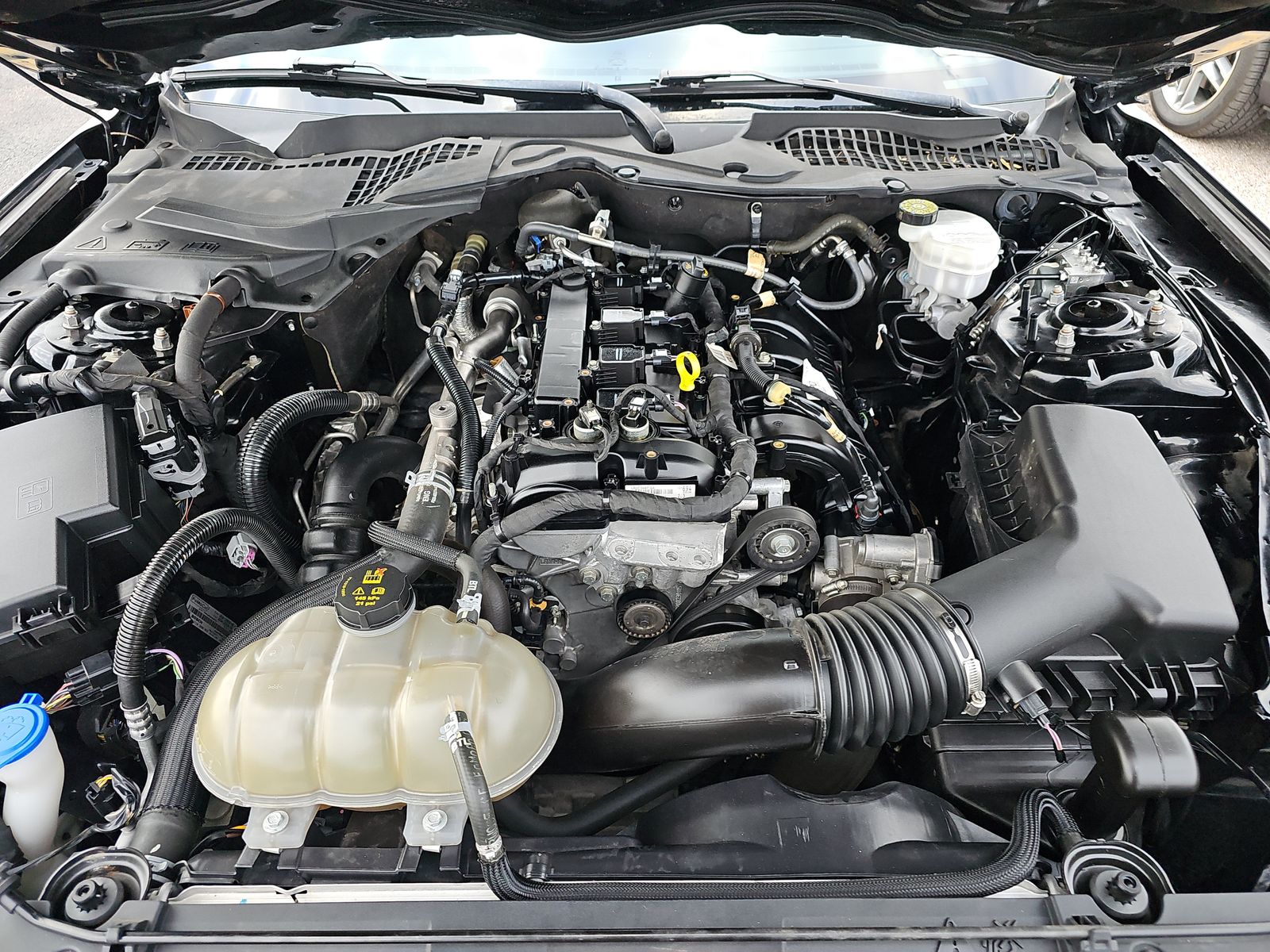 2023 Ford Mustang EcoBoost RWD