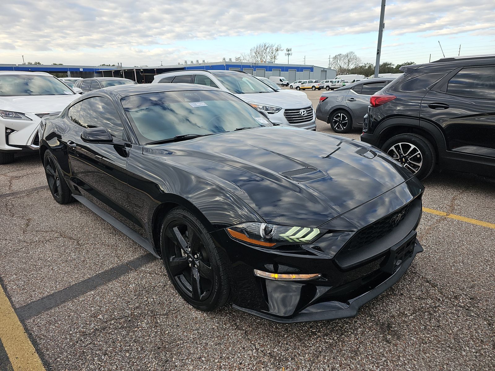 2023 Ford Mustang EcoBoost RWD