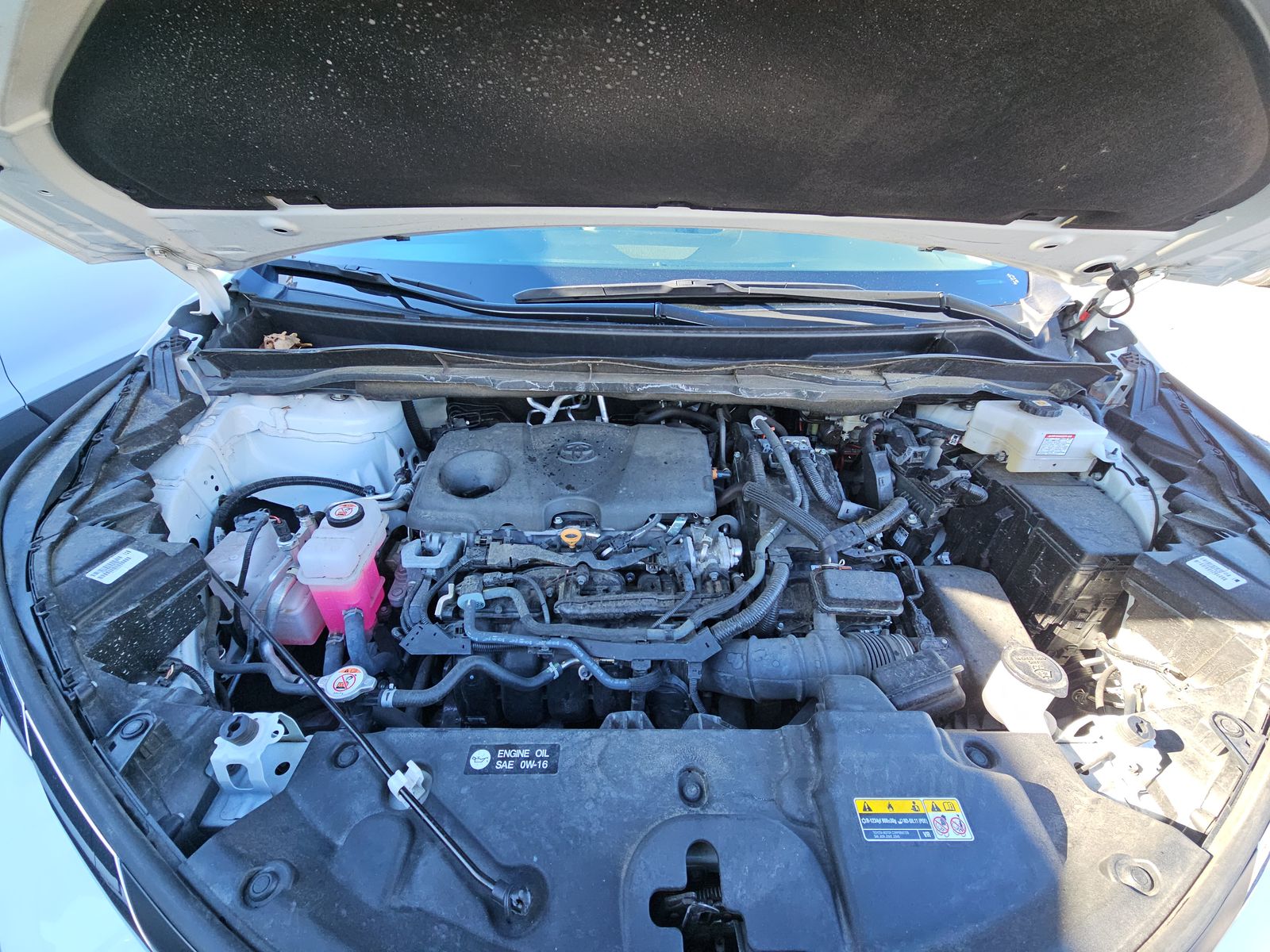 2024 Toyota Sienna LE FWD