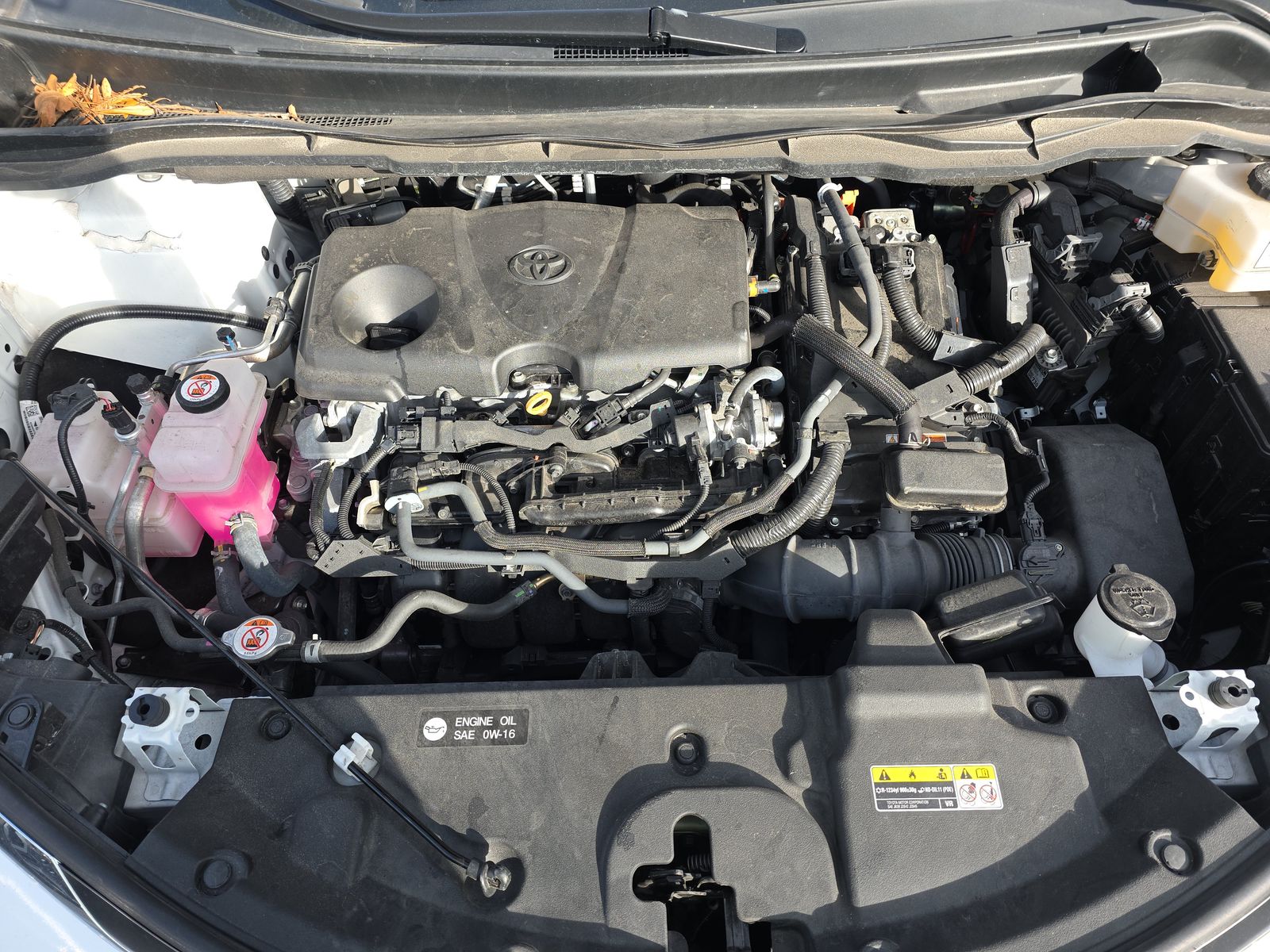 2024 Toyota Sienna LE FWD