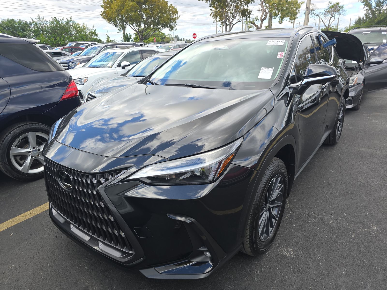 2024 Lexus NX 250