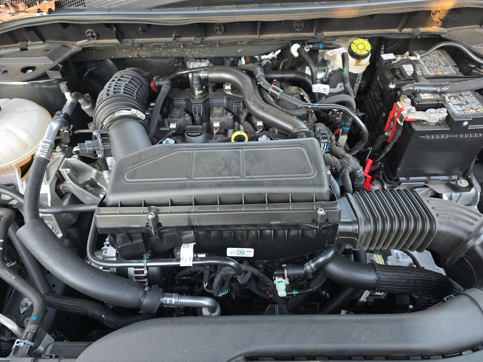 2025 Ford Escape ST-Line FWD