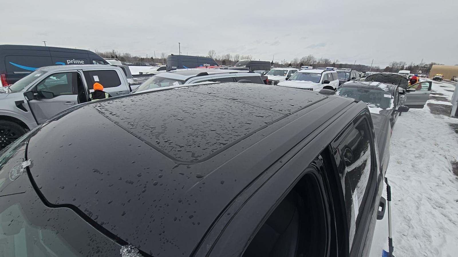 2025 Ford F-150 XLT AWD