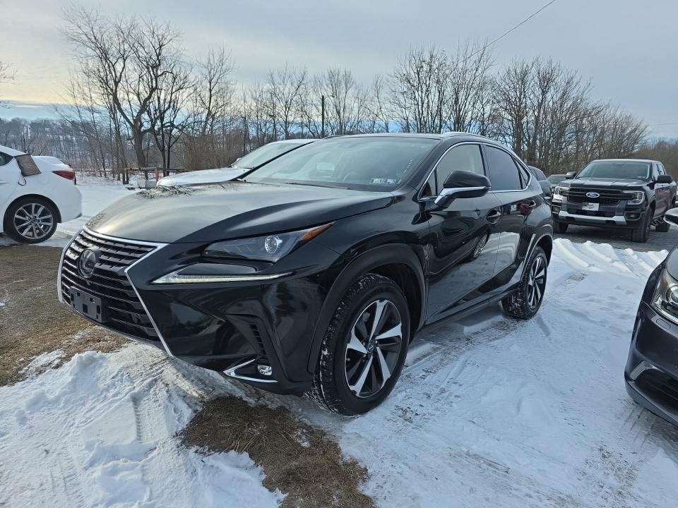 2019 Lexus NX 300