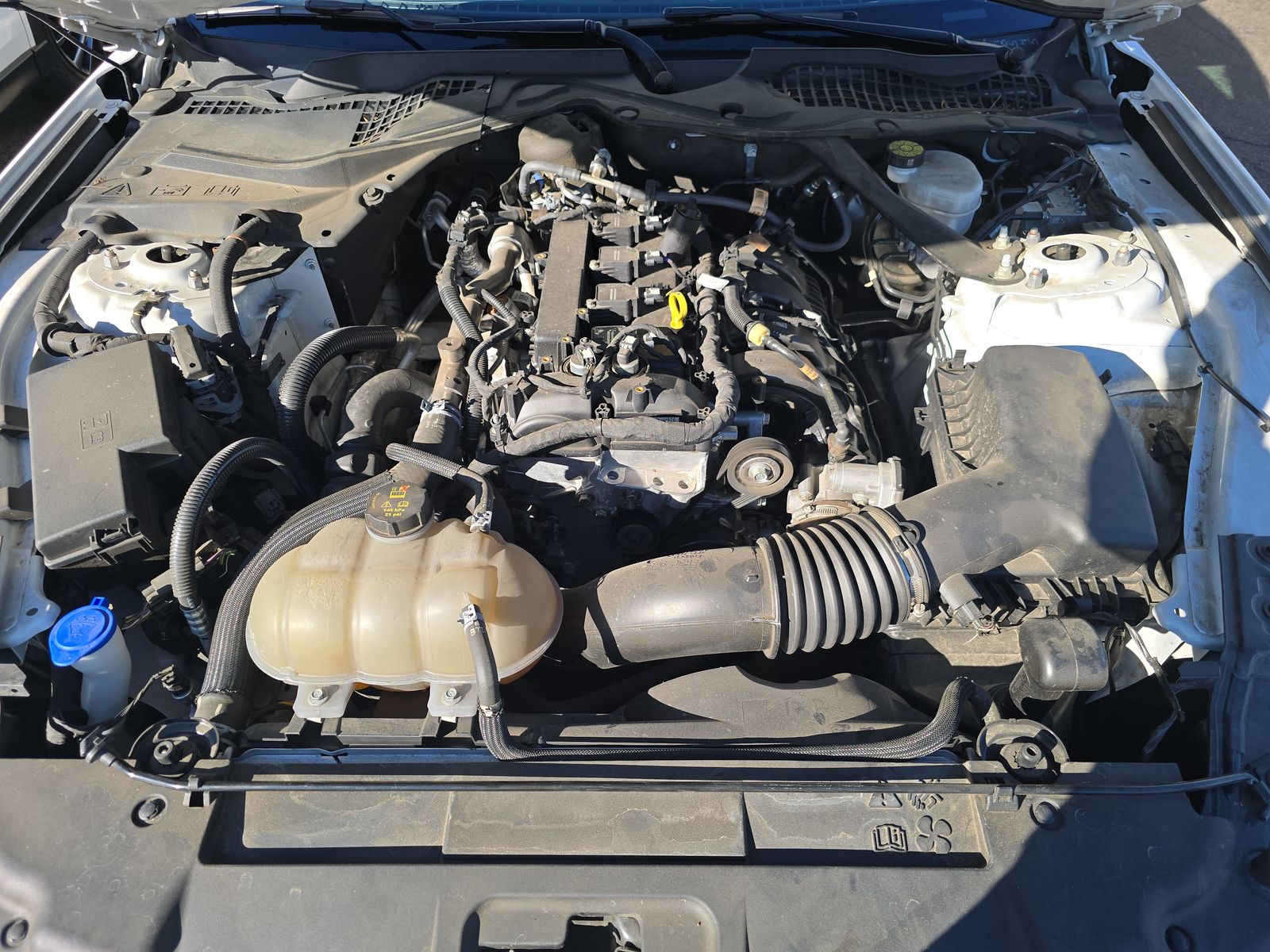 2023 Ford Mustang EcoBoost FWD