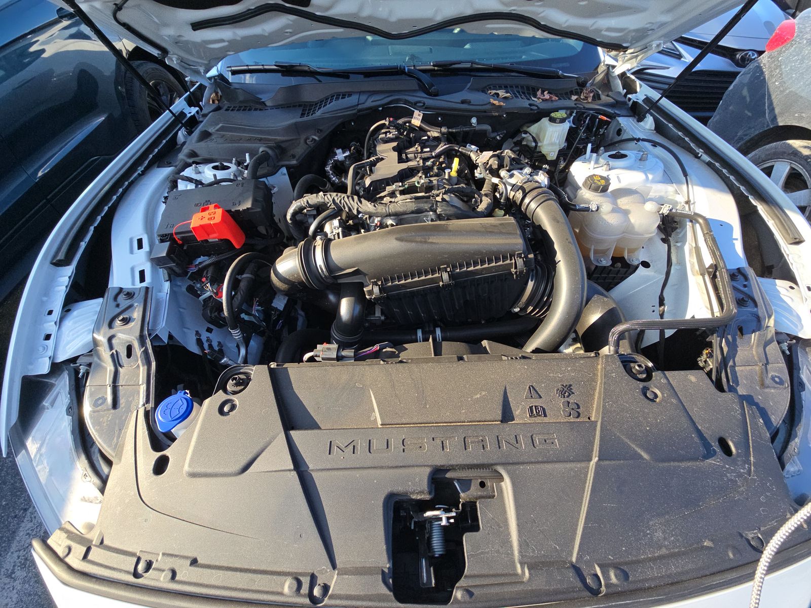 2025 Ford Mustang EcoBoost Premium RWD