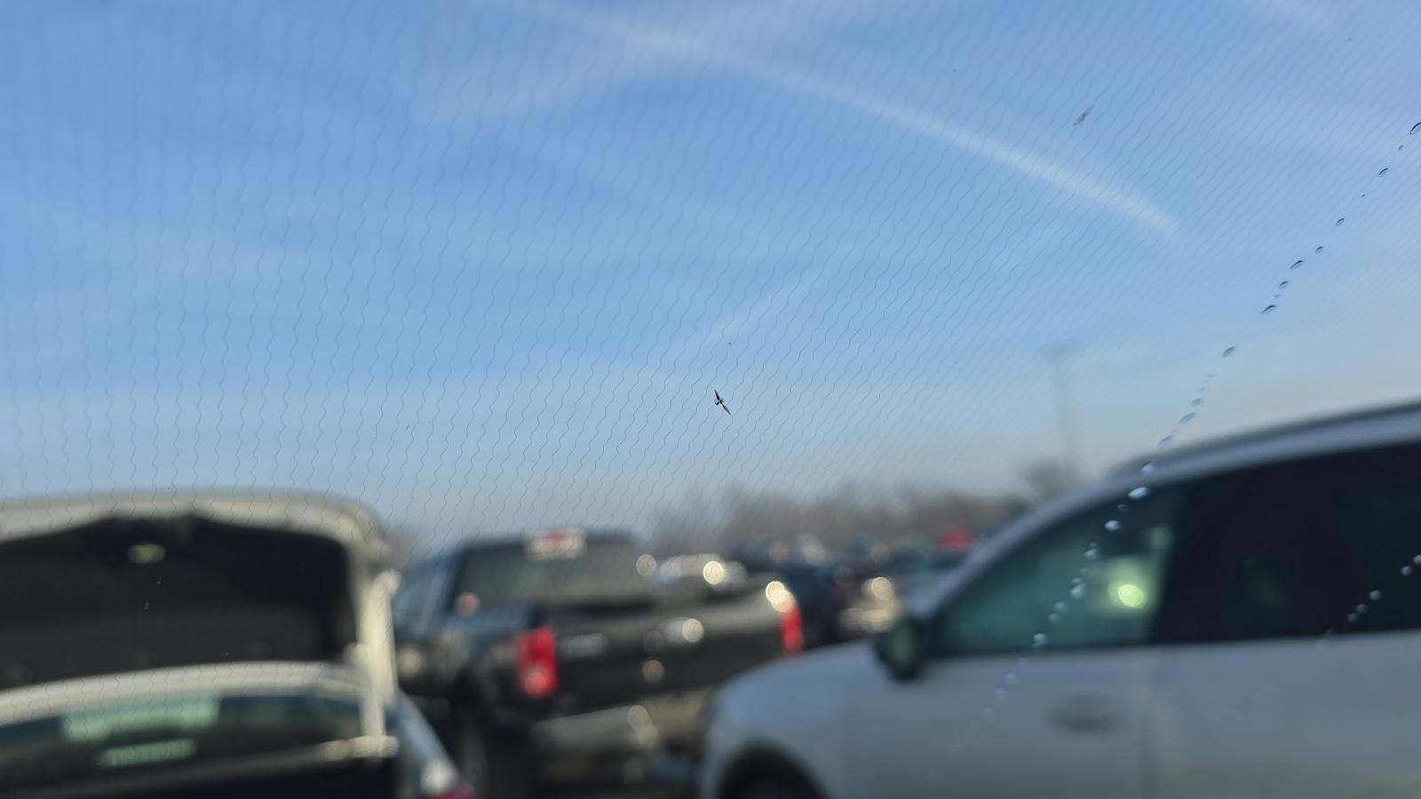 2024 Jaguar F-PACE P250 R-Dynamic S AWD