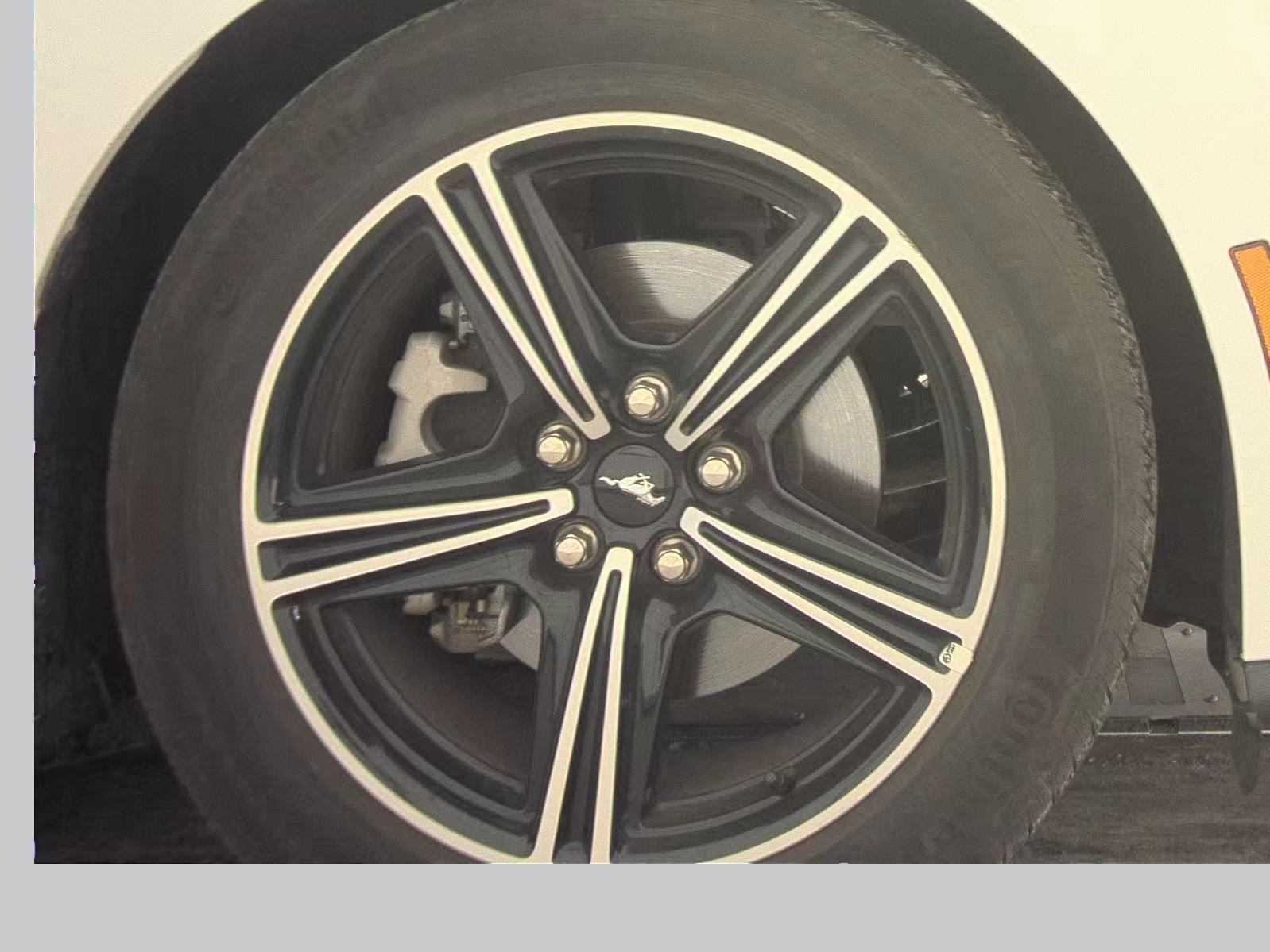 2025 Ford Mustang EcoBoost Premium RWD
