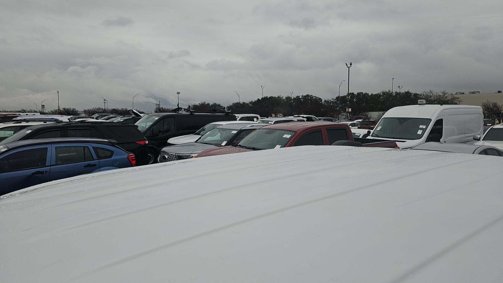 2025 Ford F-150 XLT AWD