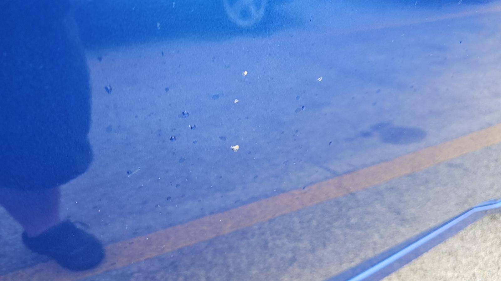 2020 Honda Civic Sport FWD