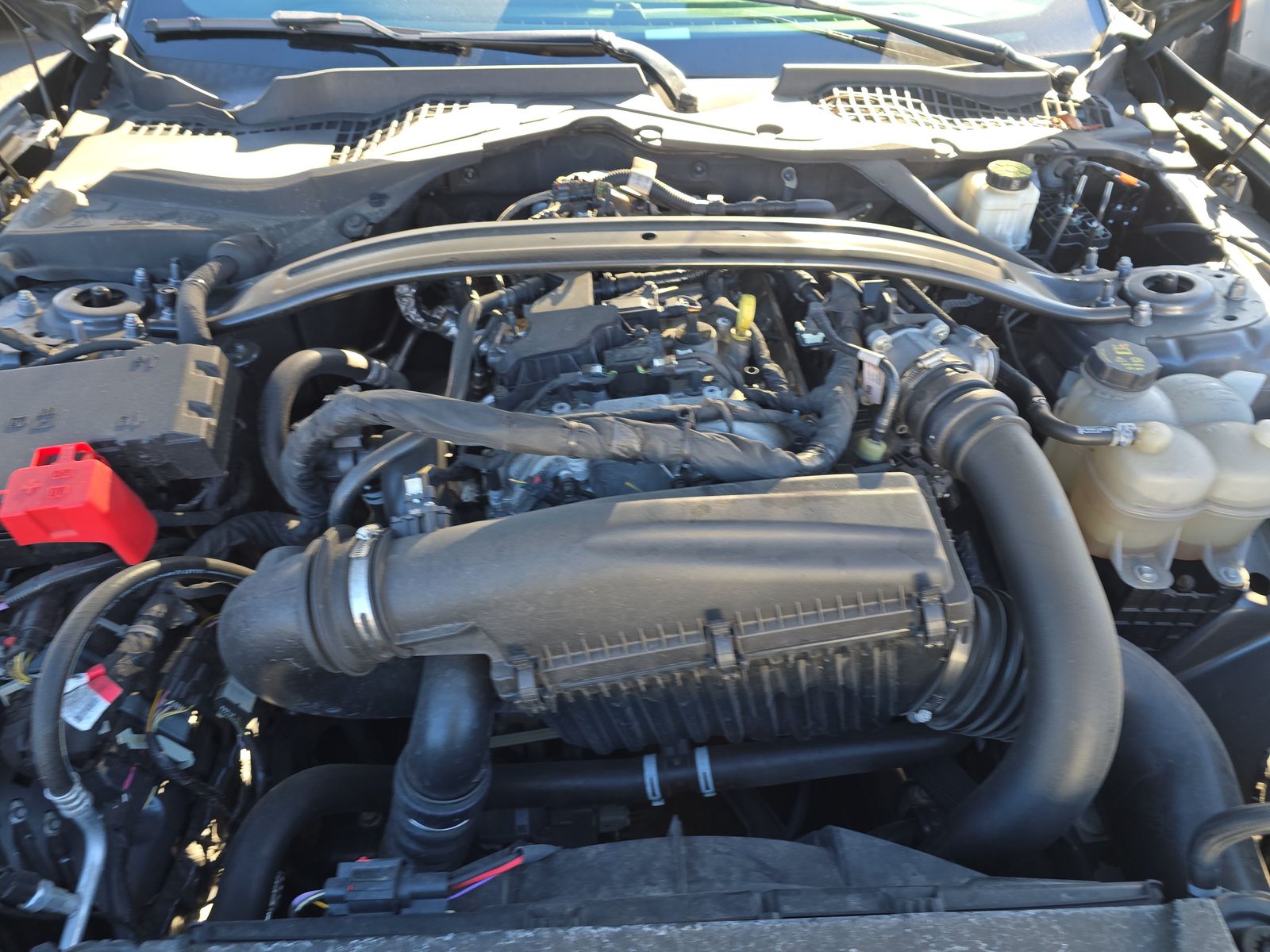 2024 Ford Mustang EcoBoost RWD