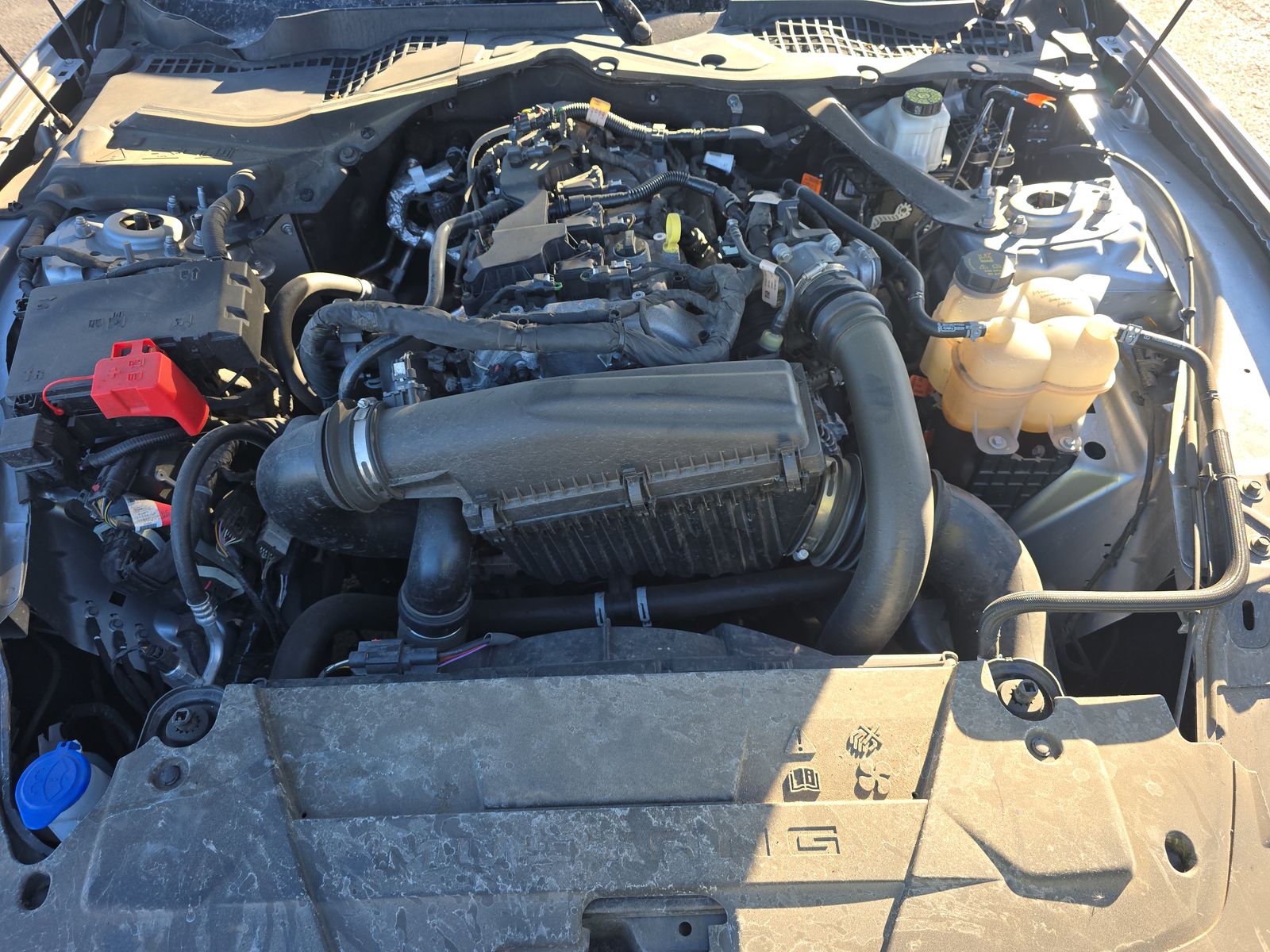 2024 Ford Mustang EcoBoost Premium RWD