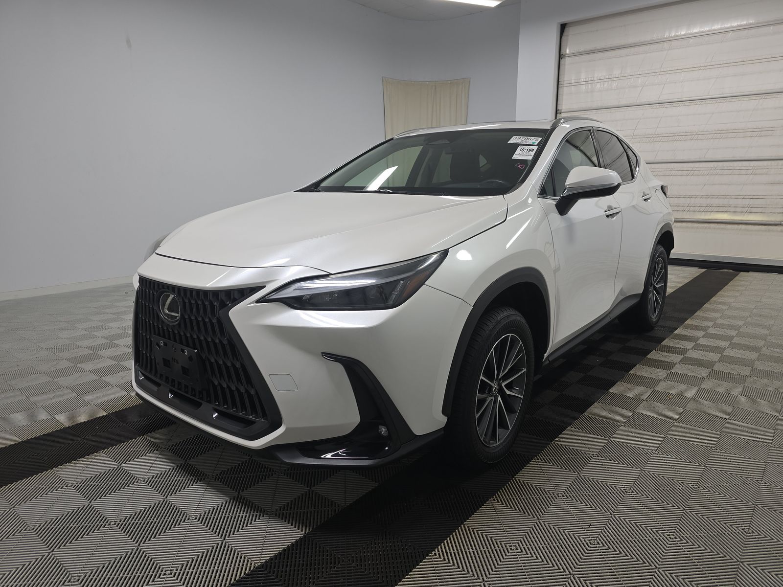 2024 Lexus NX 250