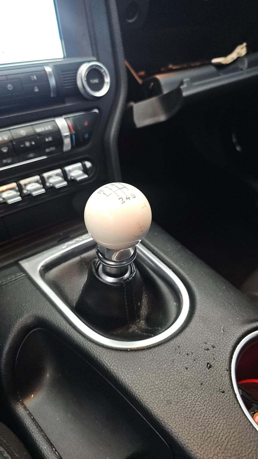 2019 Ford Mustang BULLITT RWD