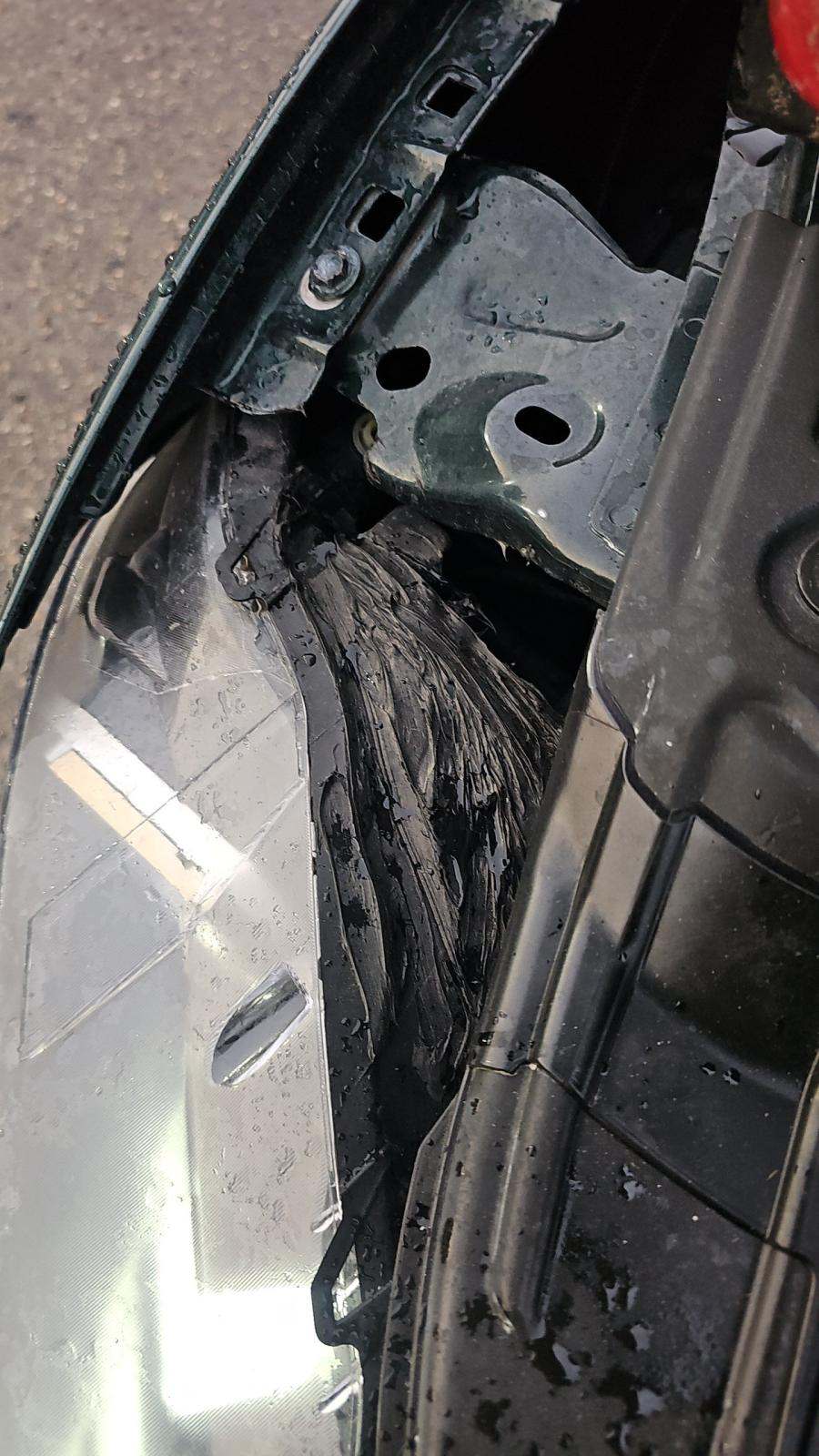 2019 Ford Mustang BULLITT RWD