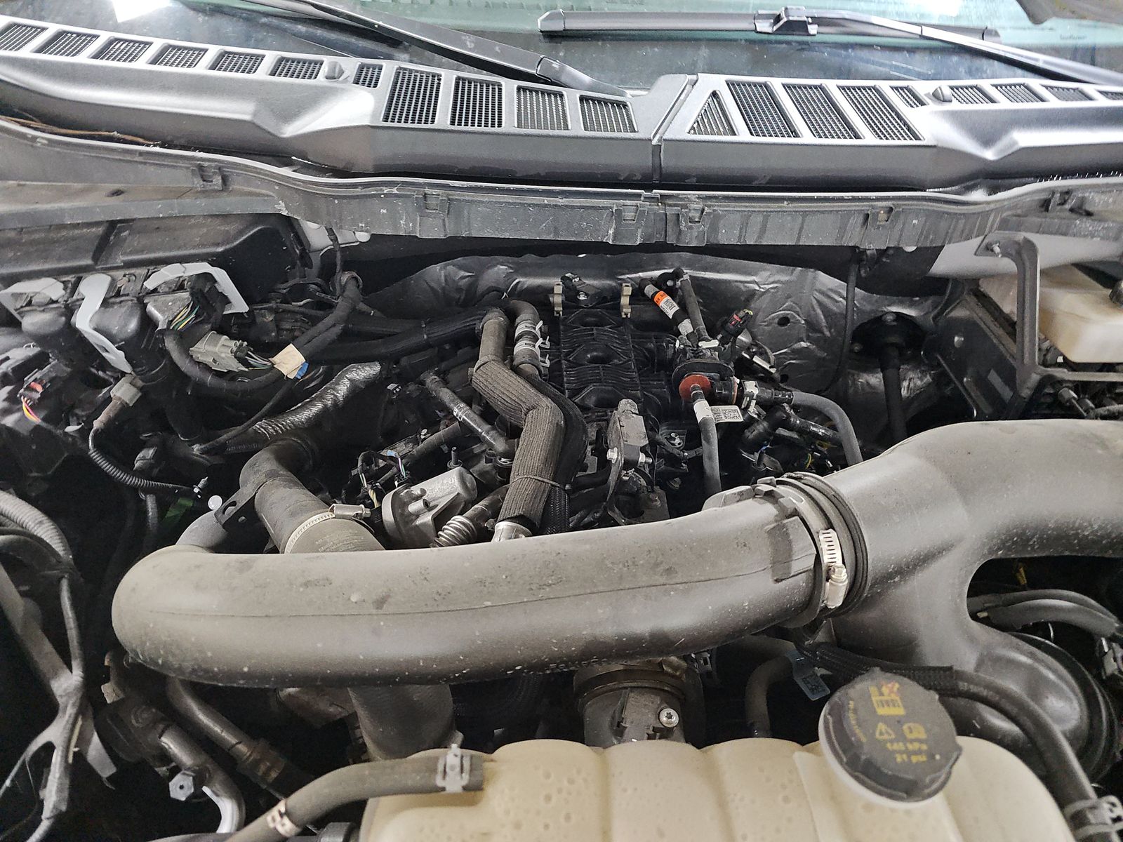 2024 Ford F-150 XLT AWD