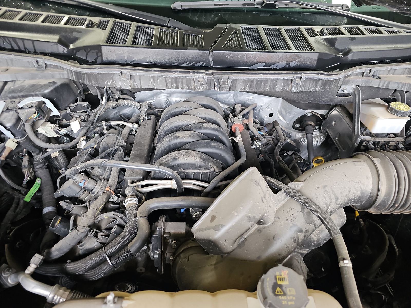 2024 Ford F-150 XLT AWD