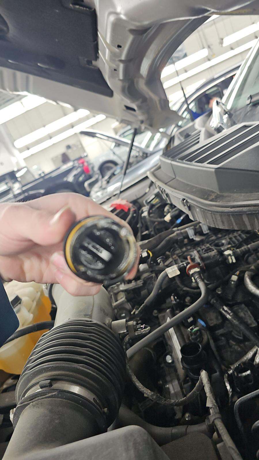 2024 Ford F-150 XLT AWD