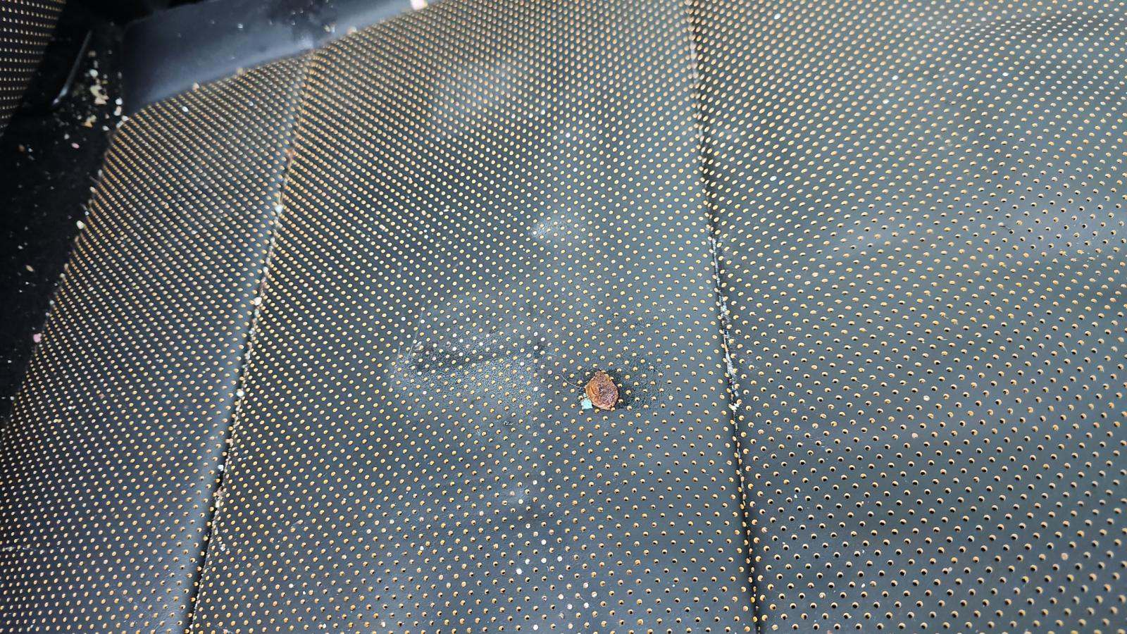 2023 Ford F-150 Tremor AWD